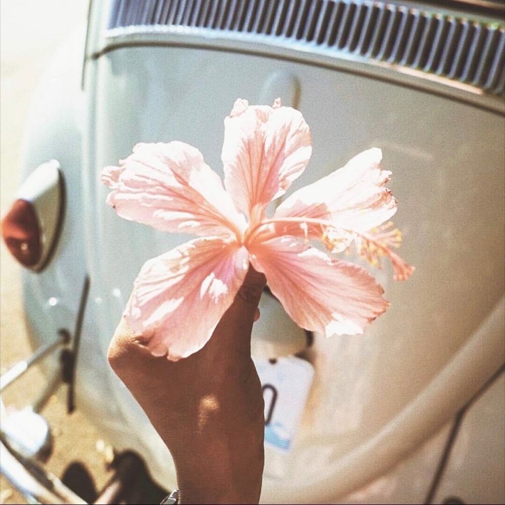 Meet your Posher, Ahlea